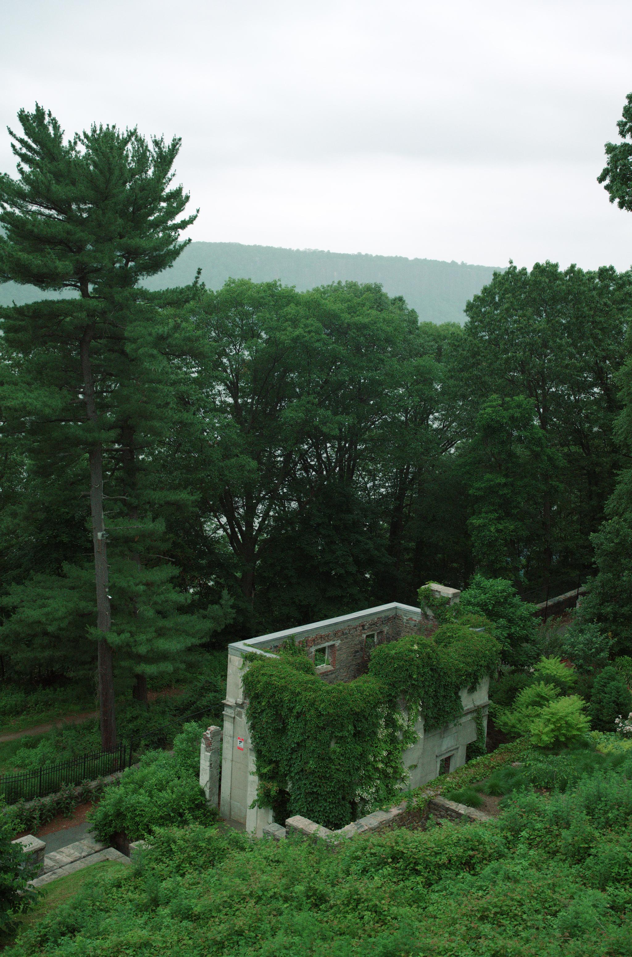 c2_L1011246.jpg